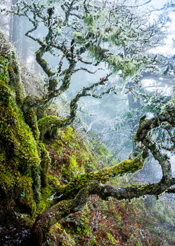 Columbia River Gorge