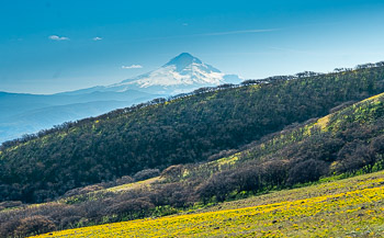 Columbia River Gorge