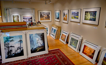My Studio Gallery