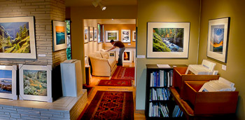 My Studio Gallery